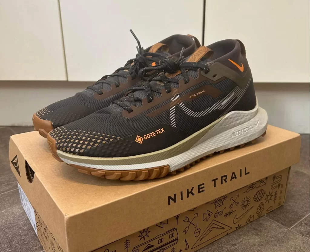 Nike Pegasus Trail 4 GORE-TEX running shoe